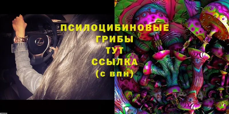 Галлюциногенные грибы MAGIC MUSHROOMS  Ликино-Дулёво 